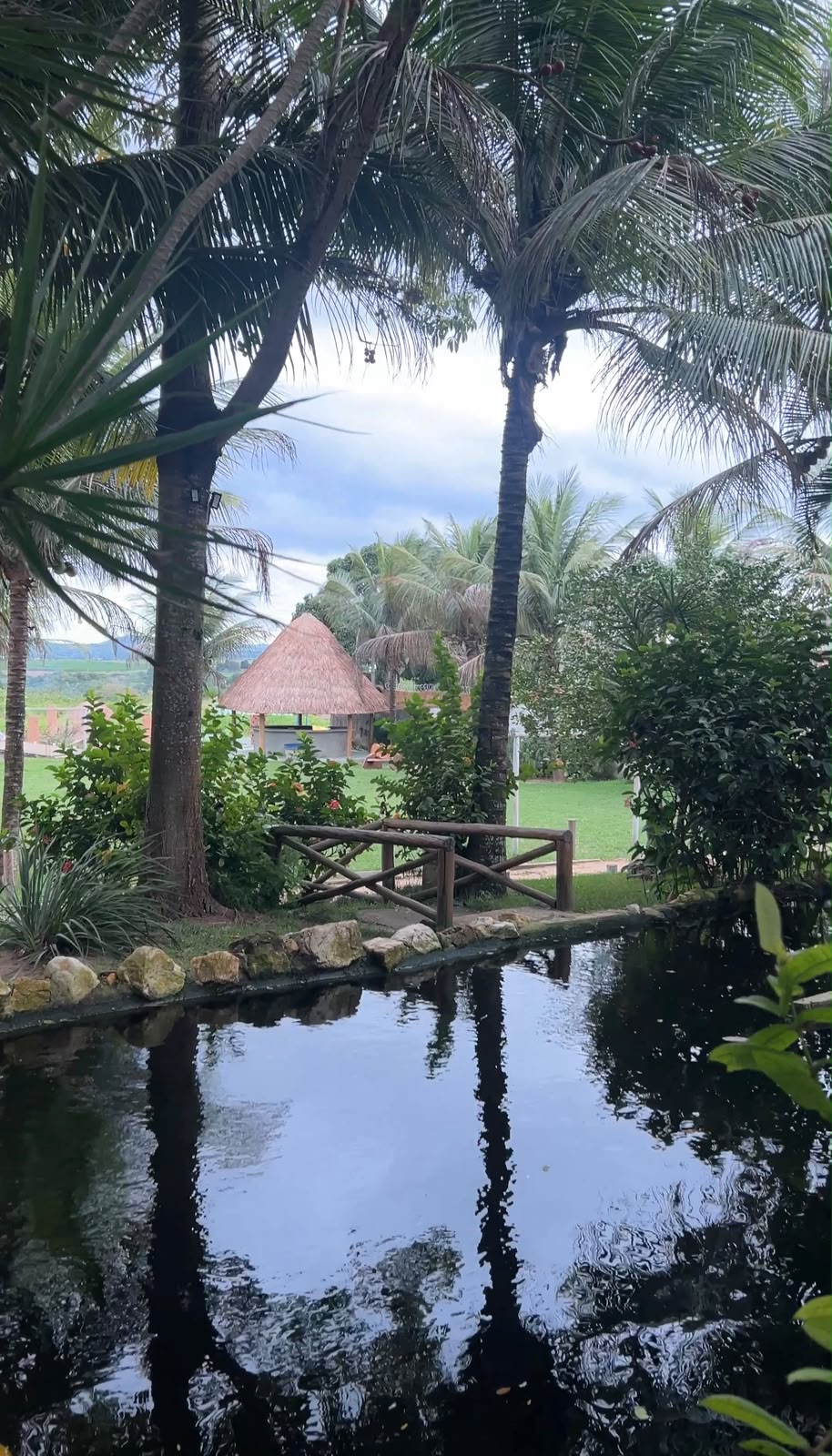 Vista do gramado
