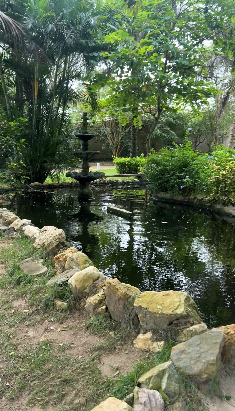 Jardim e natureza